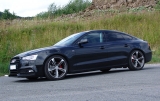 Eibach Gewindefedern Audi A5 (Typ B8, 8T) VA bis 1.225kg